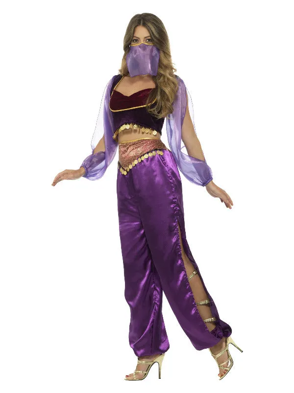 Arabian Princess Costume