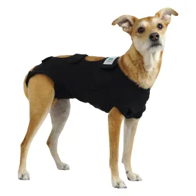 Calm Paws Premium Recovery Vest with Free Calming Disk