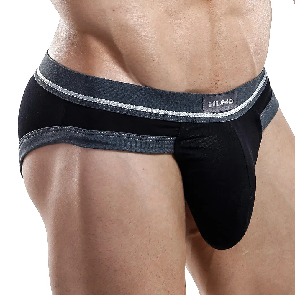 Hung HGJ003 Brief