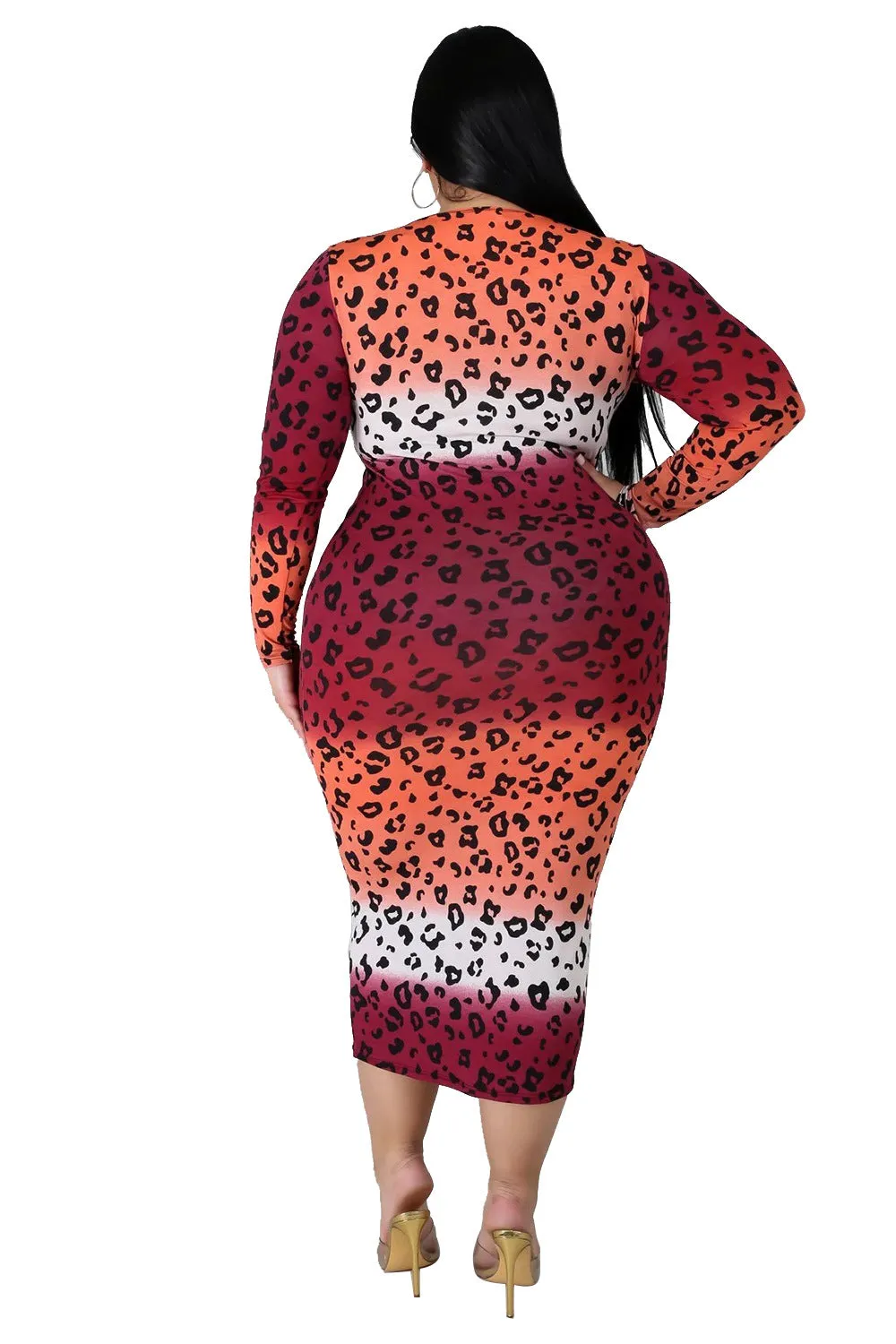 Plus Size Long Sleeve Print Dress