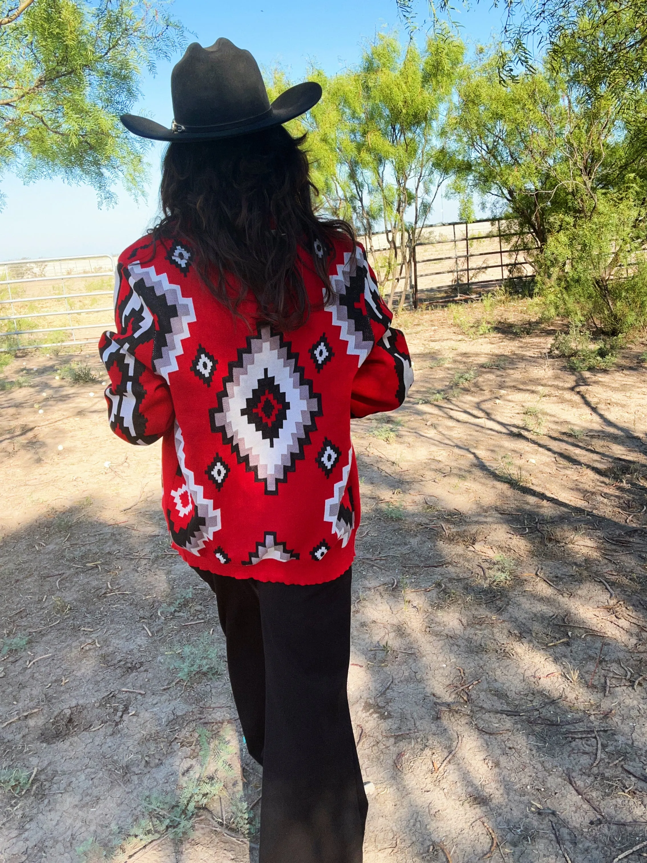 Roja Southwest Sweater