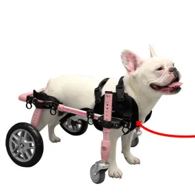 Walkin’ Wheels Front Neoprene Harness